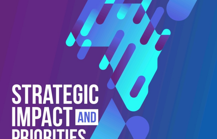 AFN Strategic Impact and Priorities for 2026